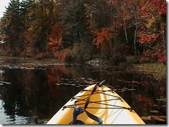 maine_kay_ 142