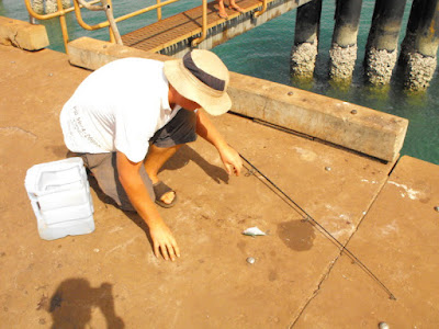 Seisia Pier Fishing, Cape York