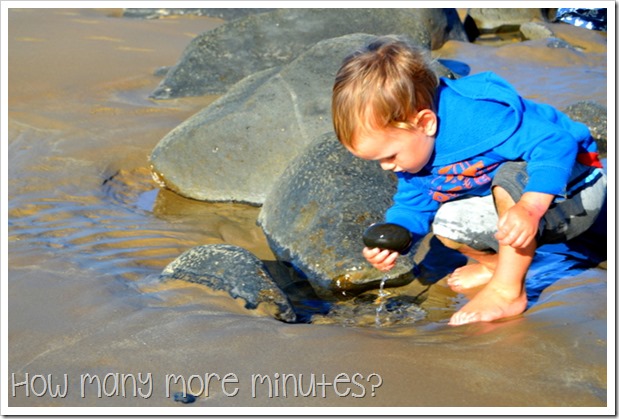 Mon Repos Turtle Centre | How Many More Minutes?