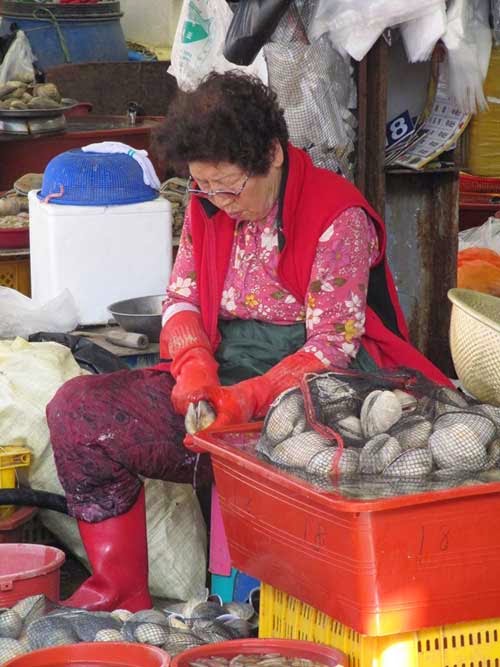 Đến thăm chợ hải sản Jagalchi nổi tiếng xứ Hàn - 3