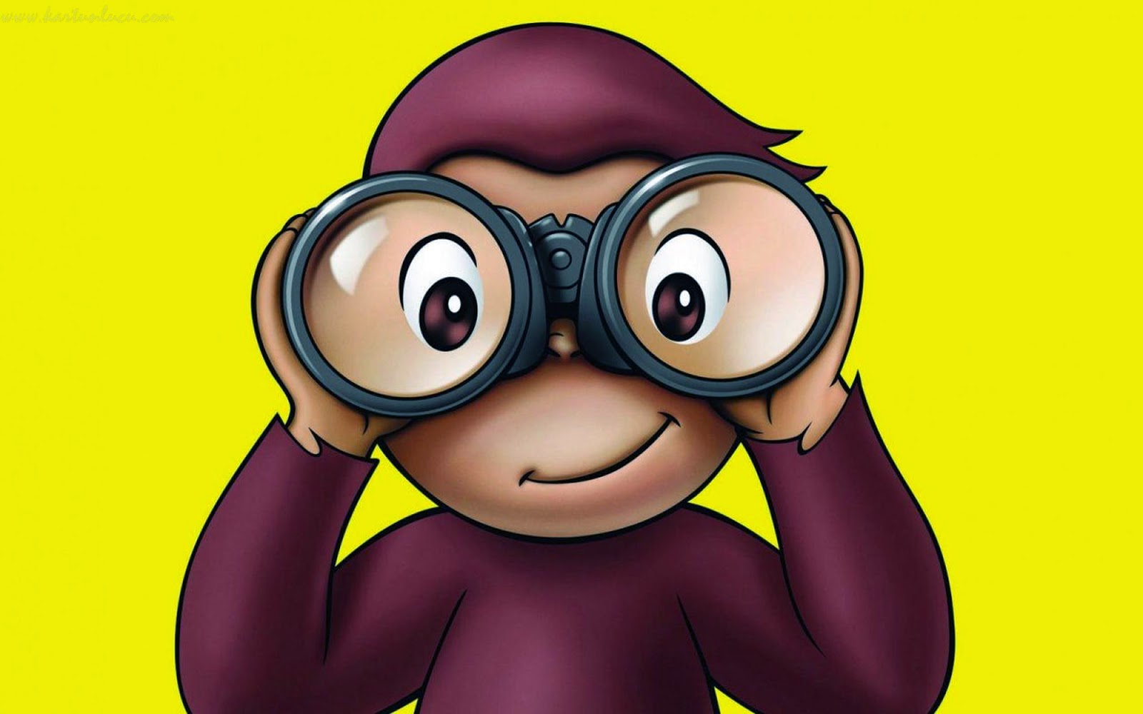 Animasi Kartun Monyet Gambar Kartun 