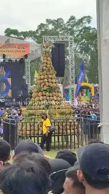 festival durian pekalongan 2024