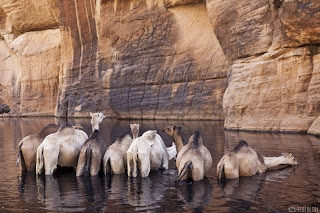 Guelta d' Archei, Oase Ajaib Di Gurun Sahara