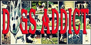 DOG LOVERS COMMUNITY