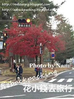 奈良公園紅葉