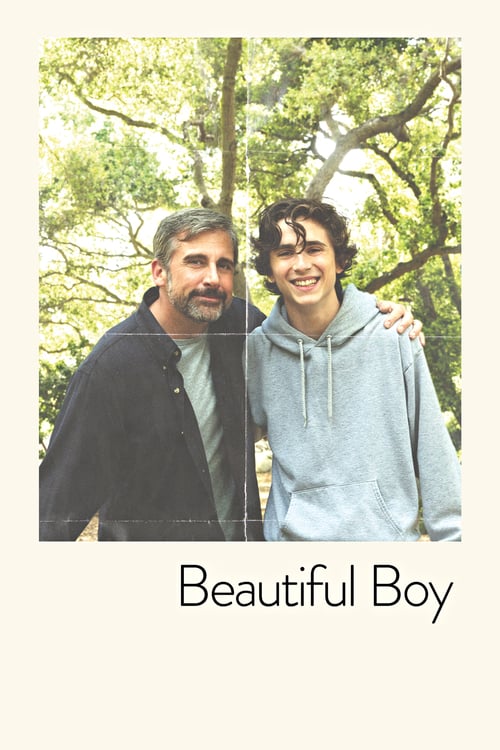 [HD] Beautiful Boy 2018 Ganzer Film Deutsch Download