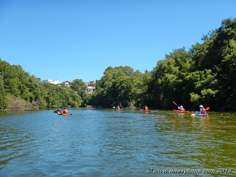 Kayak río Palmones