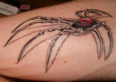 Spider tattoo