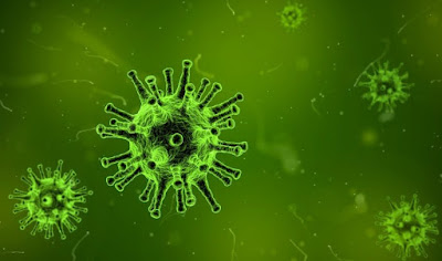 Peranan Microorganisme Dalam Kehidupan Manusia (Part.1) I Virus