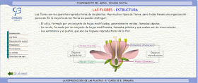 http://www.clarionweb.es/5_curso/c_medio/cm506/cm50602.htm