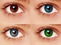  Jenis  jenis  Warna  Bola Mata  Manusia  Di Dunia ZILZAAL