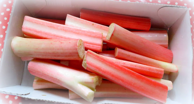 Yorkshire Rhubarb