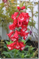 057