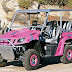 Custom Yamaha Rhino | Yamaha Rhino Modification Pink