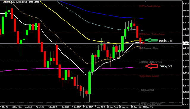 Forex Daily Analysis 