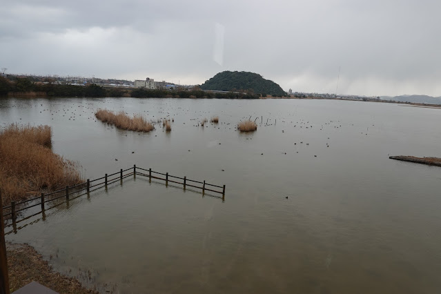 鳥取県米子市彦名新田 米子水鳥公園 観察棟からの眺望