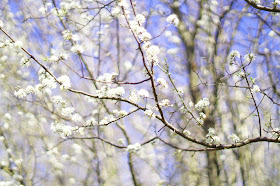 Norfolk countryside landscape photographs 2015