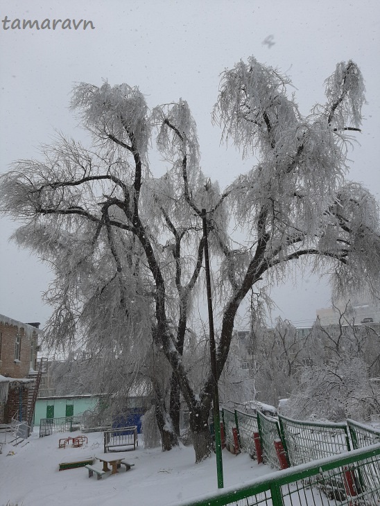 Ледяной дождь во Владивостоке и Приморье