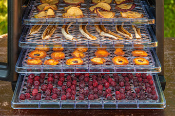 Fruit Dehydrators