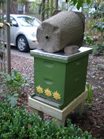 baited, bee, beekeeping, brushy mountain, free bees, hive, swarm, swarm capture, swarm trap, 