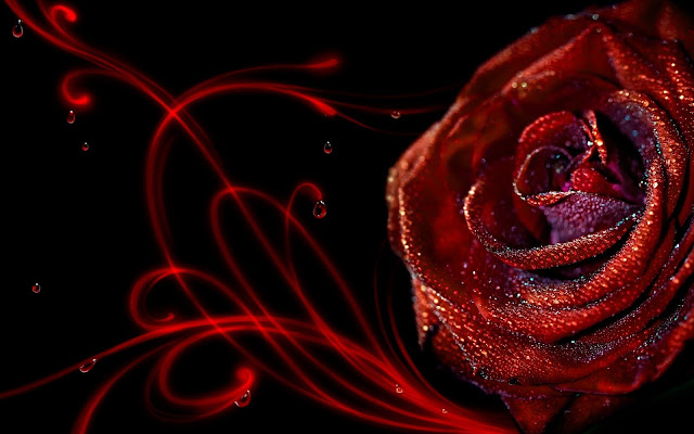 3D Rose Flowers Wallpapers Free Download