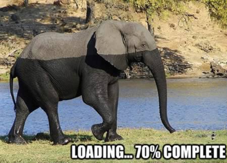 Gajah Loading...