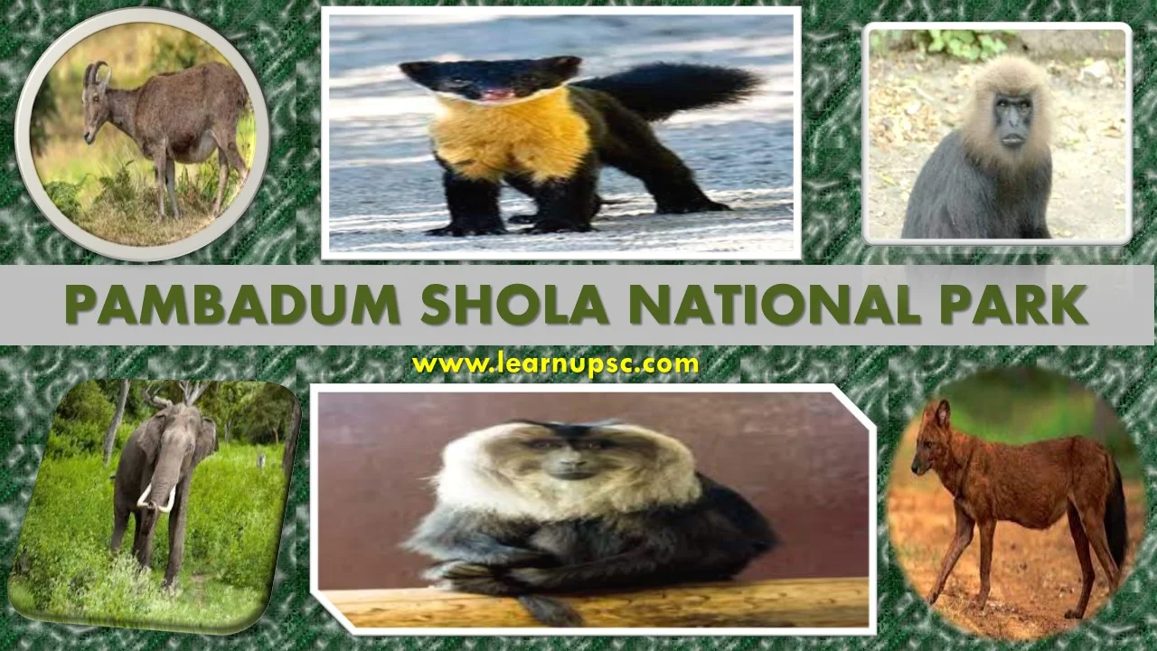 Pambadum Shola National Park
