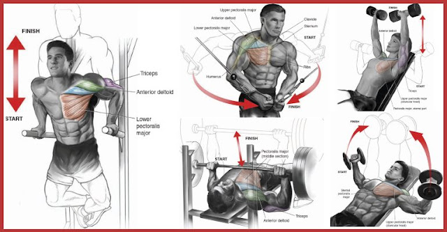 chest workout