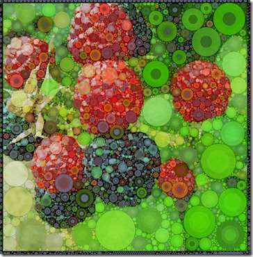 raspberries