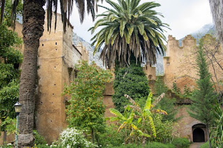 Andalusian Gardens, Chefchaouen, Morocco 🇲🇦