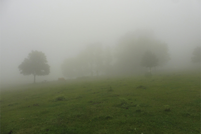 Niebla en las campas de Santa Teodosia