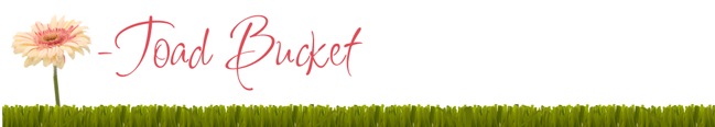 blogsignaturetoadbucket