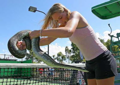 Nicole Vaidisova Top Star Hot Tennis Player