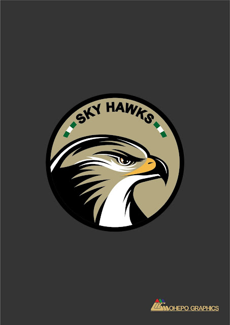 The Nigerian AirForce Sky Hawks Patch (Retouched By OhepoGraphics) 2