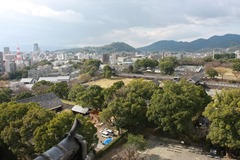 IMG_7710