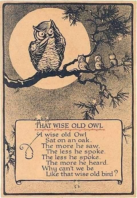 Wise old owl poem