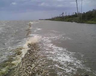 Oyster restoration protecting Coffee Island, Alabama