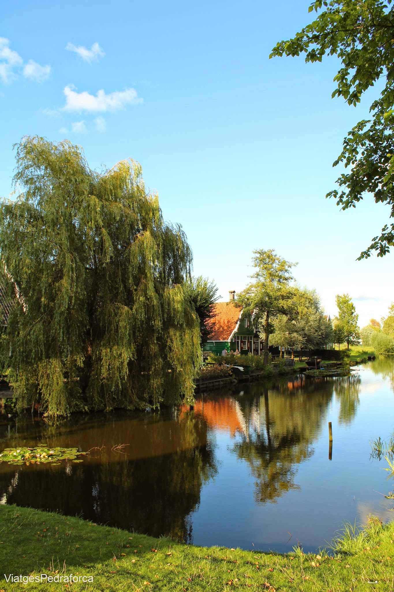 Zaanse Schans Holanda Països Baixos Amsterdam