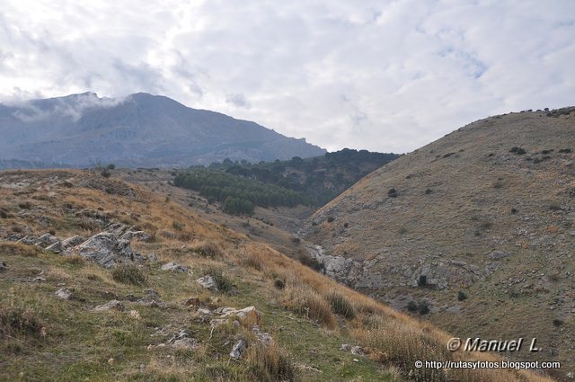 Pinar de Canava - Los Caracoles