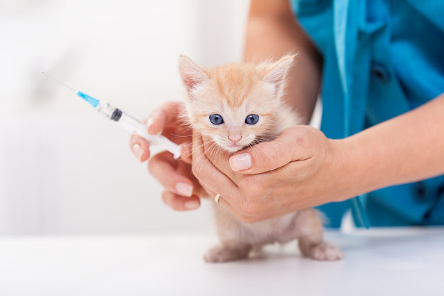 Animal Vaccines Market