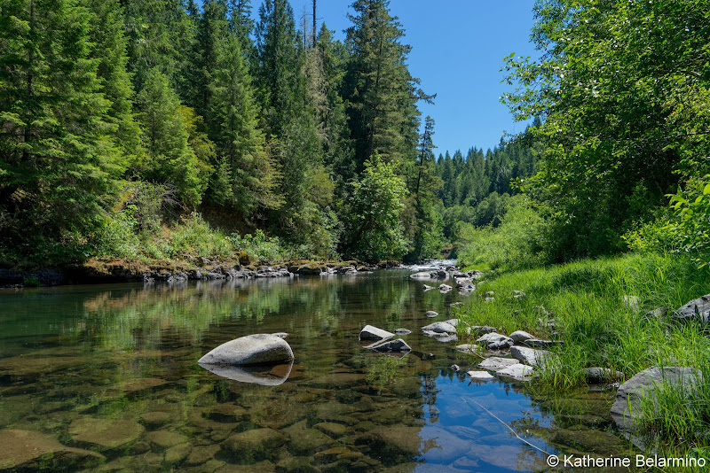 Molalla River Recreation Corridor 5 Great Hikes in Oregon’s Mt. Hood Territory