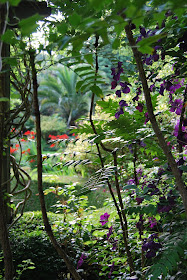 sub-tropical walled garden, Tregenna Castle, St Ives, Cornwall photo by modernbricabrac