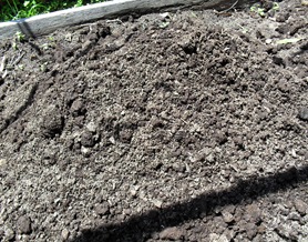 Horse poo