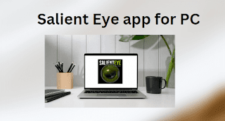 Salient Eye app for PC