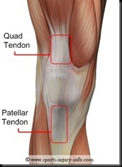 KEEP BELIEVING . . KEEP FIGHTING. . KEEP KICKING ASS!: KNEE TENDONITIS . . is it the problem ...