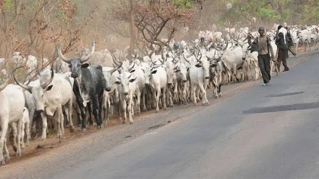 We will use modern methods to resolve the farmers-herders conflict’