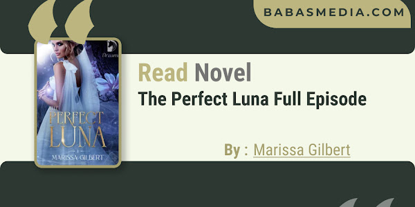 Read The Perfect Luna Novel By Marissa Gilbert / Synopsis