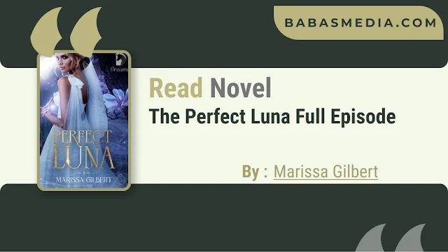 Cover The Perfect Luna Novel By Marissa Gilbert