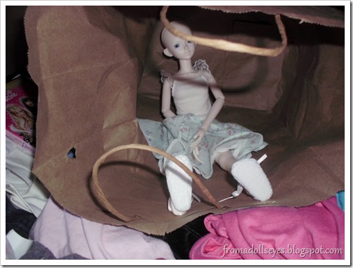Bjd Sitting in a Shopping Bag