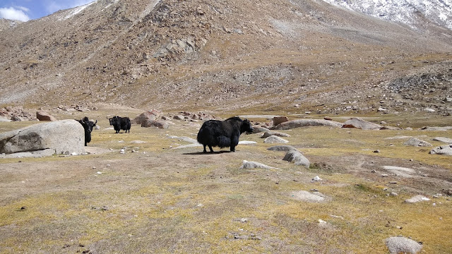 Leh Ladakh Bike Trip